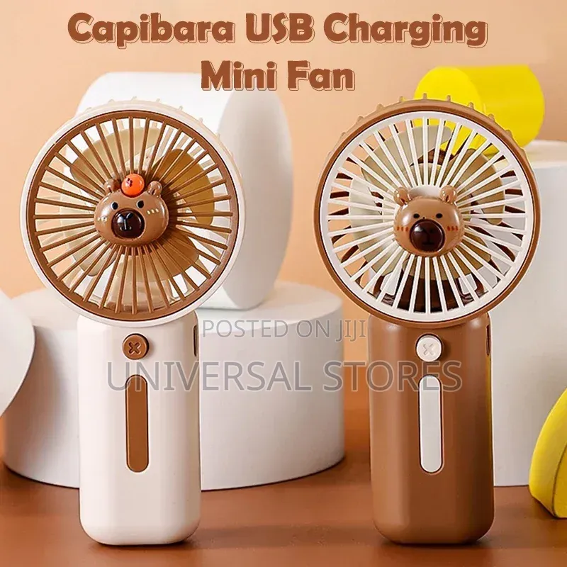 Summer Small Fan,