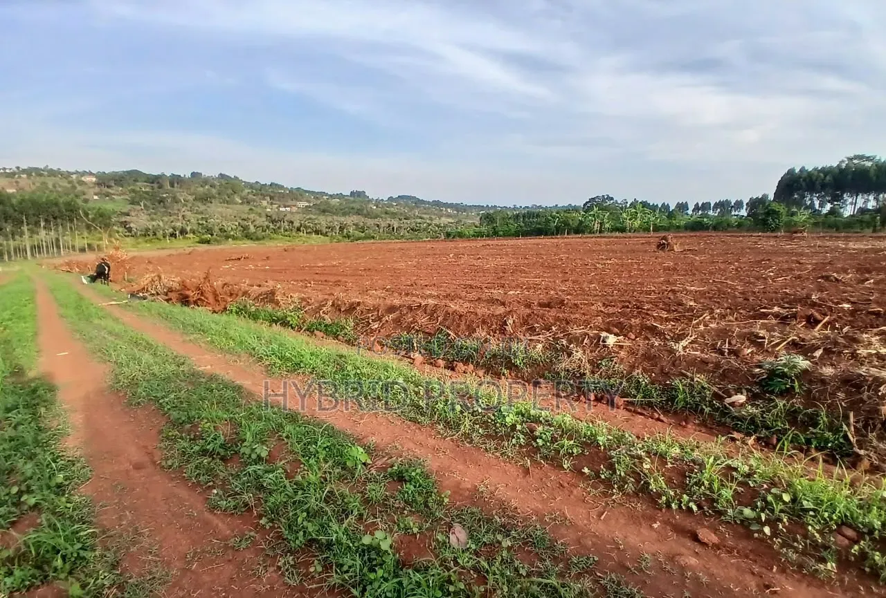 Strategic Plots for Sale at Kasanje Mega Land Estate Along Entebbe Rd.
