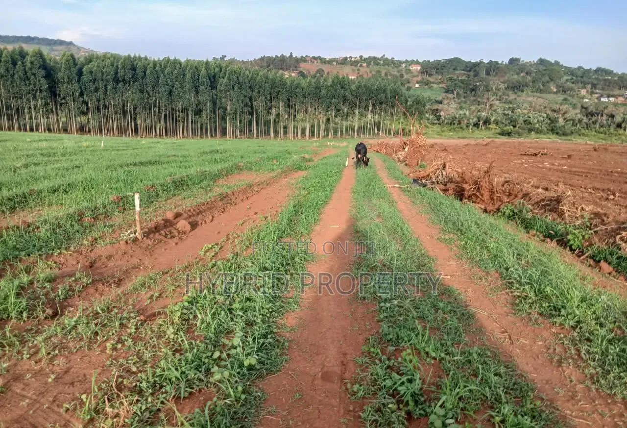 Strategic Plots for Sale at Kasanje Mega Land Estate Along Entebbe Rd.
