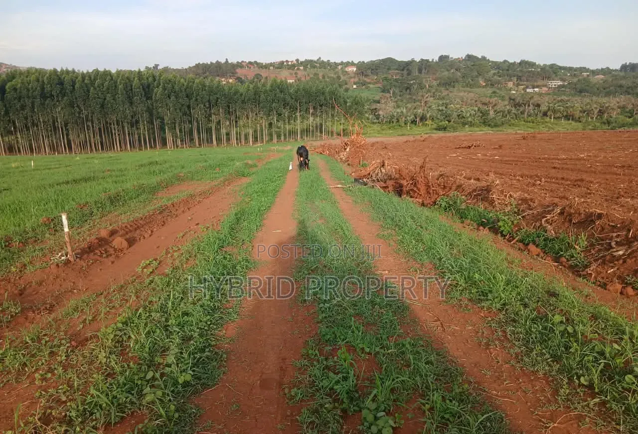 Strategic Plots for Sale at Kasanje Mega Land Estate Along Entebbe Rd.