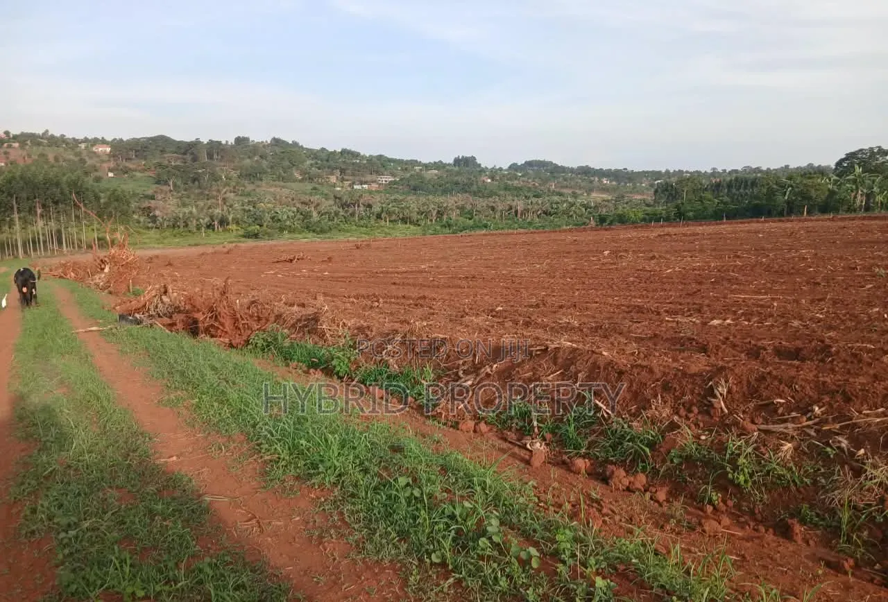 Strategic Plots for Sale at Kasanje Mega Land Estate Along Entebbe Rd.