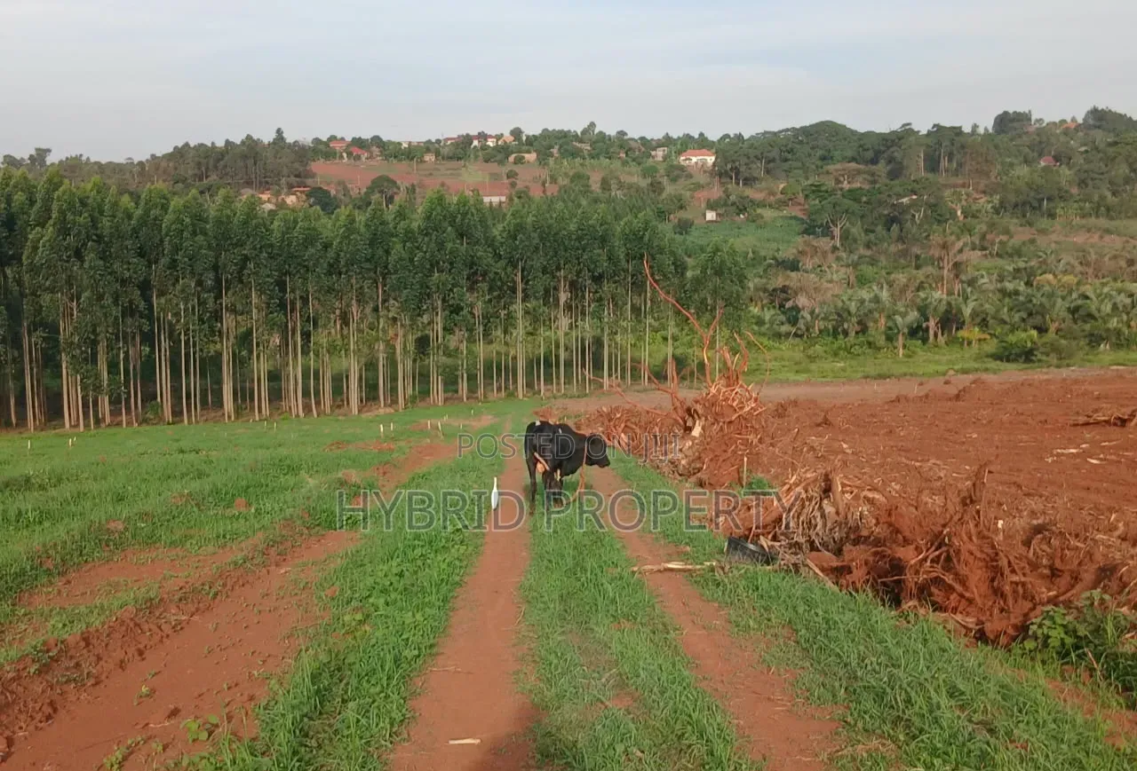 Strategic Plots for Sale at Kasanje Mega Land Estate Along Entebbe Rd.