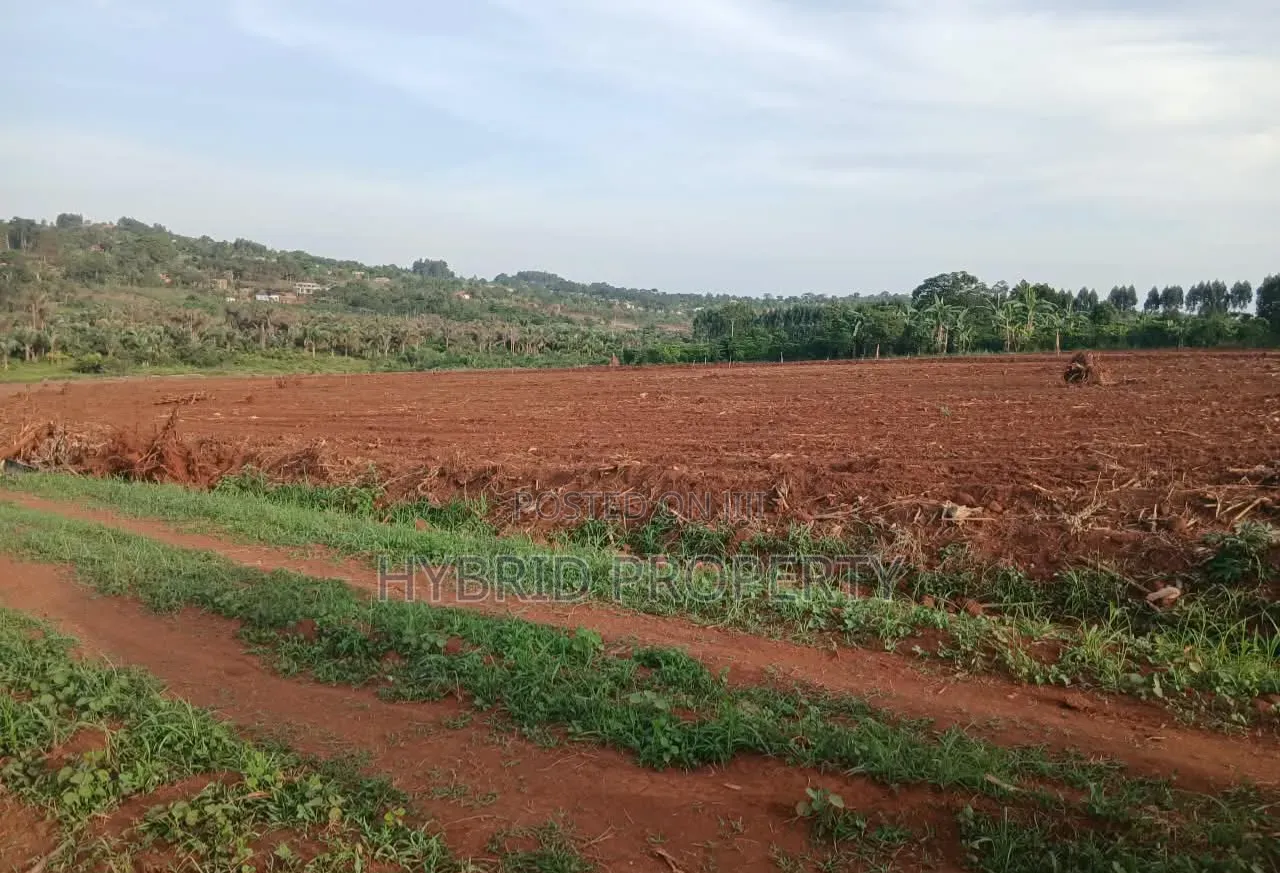 Strategic Plots for Sale at Kasanje Mega Land Estate Along Entebbe Rd.