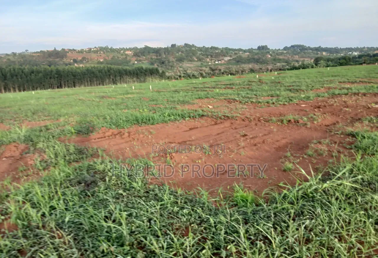 Strategic Plots for Sale at Kasanje Mega Land Estate Along Entebbe Rd.