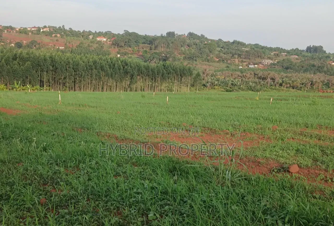 Strategic Plots for Sale at Kasanje Mega Land Estate Along Entebbe Rd.