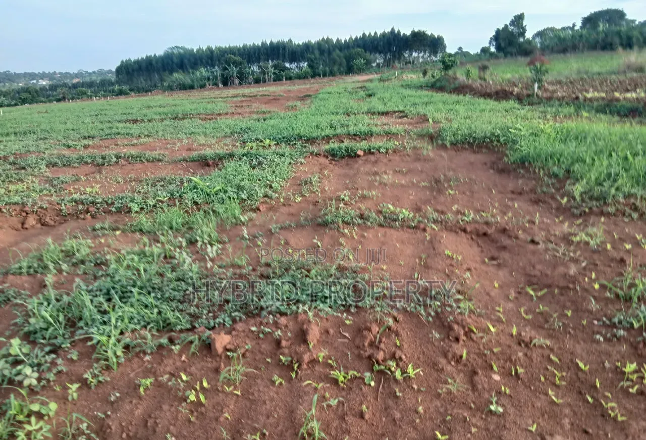 Strategic Plots for Sale at Kasanje Mega Land Estate Along Entebbe Rd.