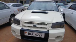 Subaru Forester 2003 White