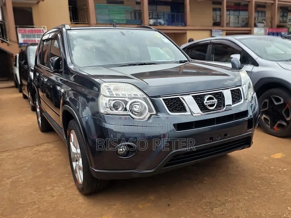 Nissan X-Trail 2.0 Petrol AWD 2013 Gray