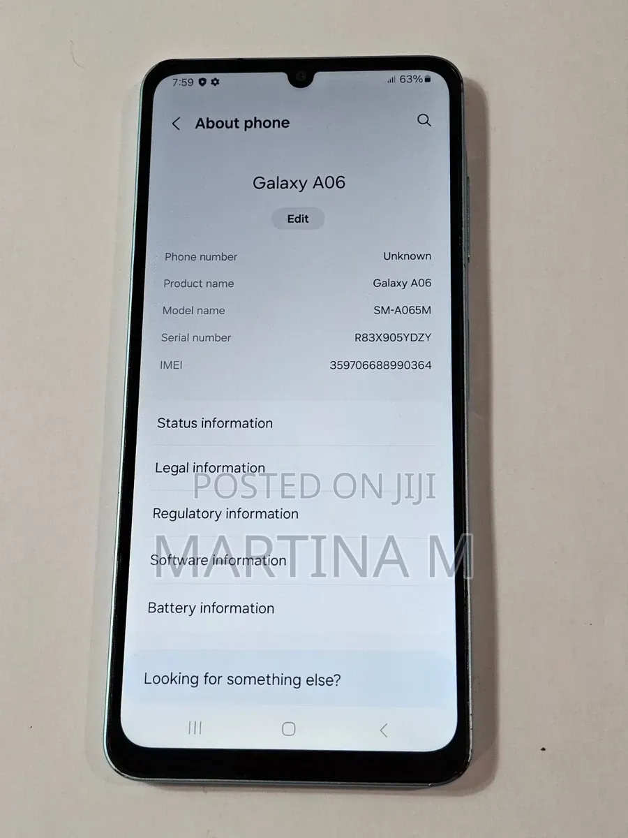 Samsung Galaxy A06 64 GB Blue