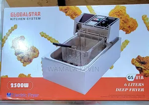 Electric Deep Fryer