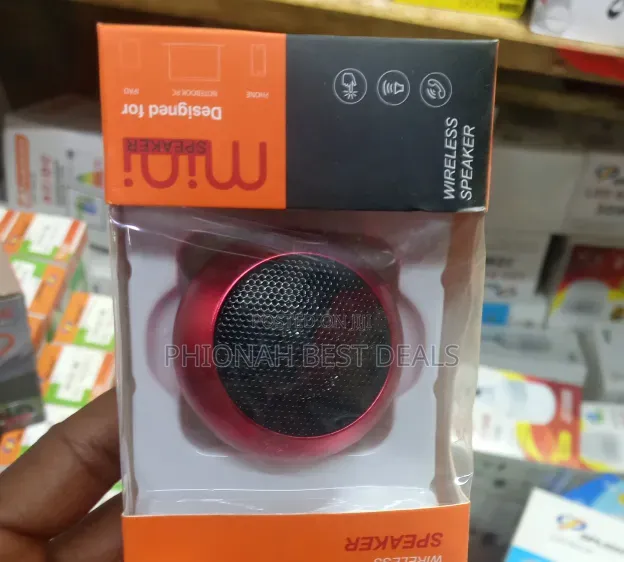 Portable Wireless Speakers