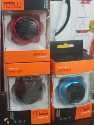 Portable Wireless Speakers
