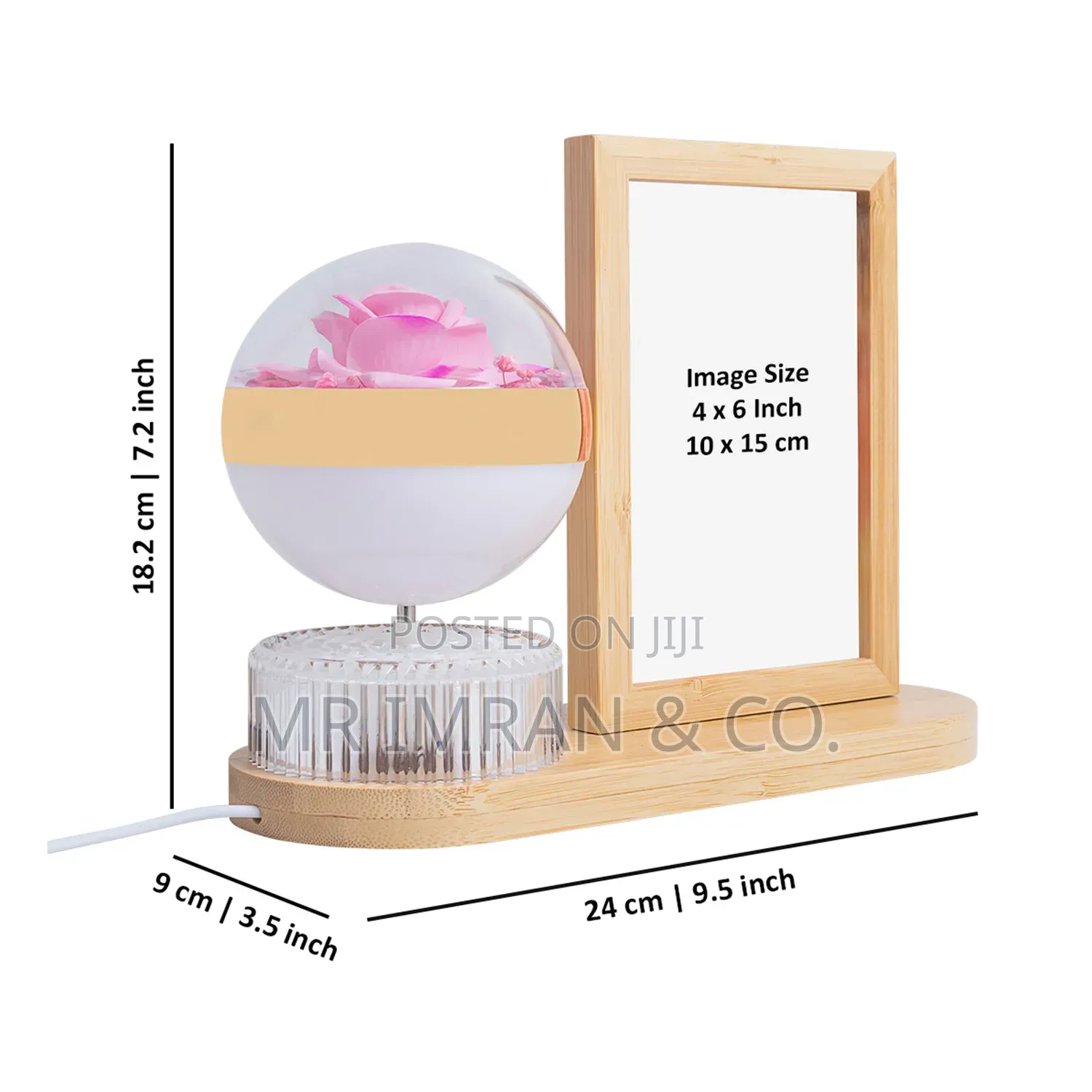 LED Photo Frame Lamp With an Illuminated Flower Globe