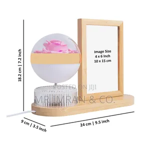 LED Photo Frame Lamp With an Illuminated Flower Globe