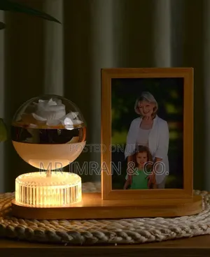 LED Photo Frame Lamp With an Illuminated Flower Globe