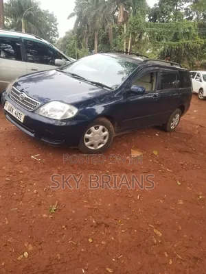 Toyota Corolla Fielder 2005 Blue