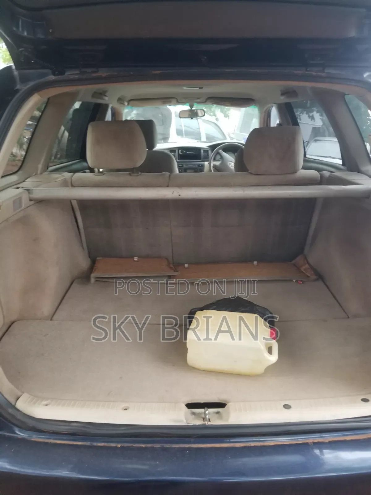 Toyota Corolla Fielder 2005 Blue
