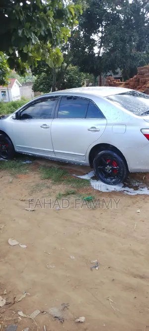 Toyota Premio 1.5 FWD 2009 Gray