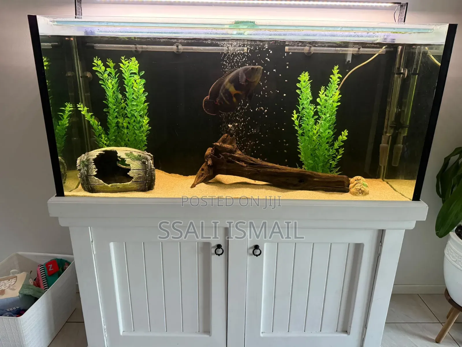 Crystal Clear White Aquarium.