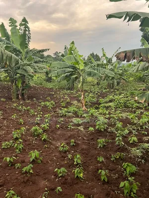 Plot of Land for Sale in Kalagala, Nakasaja – Kayunga Road!