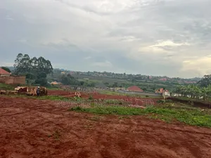 Plot of Land for Sale in Kijabijo, Gayaza!