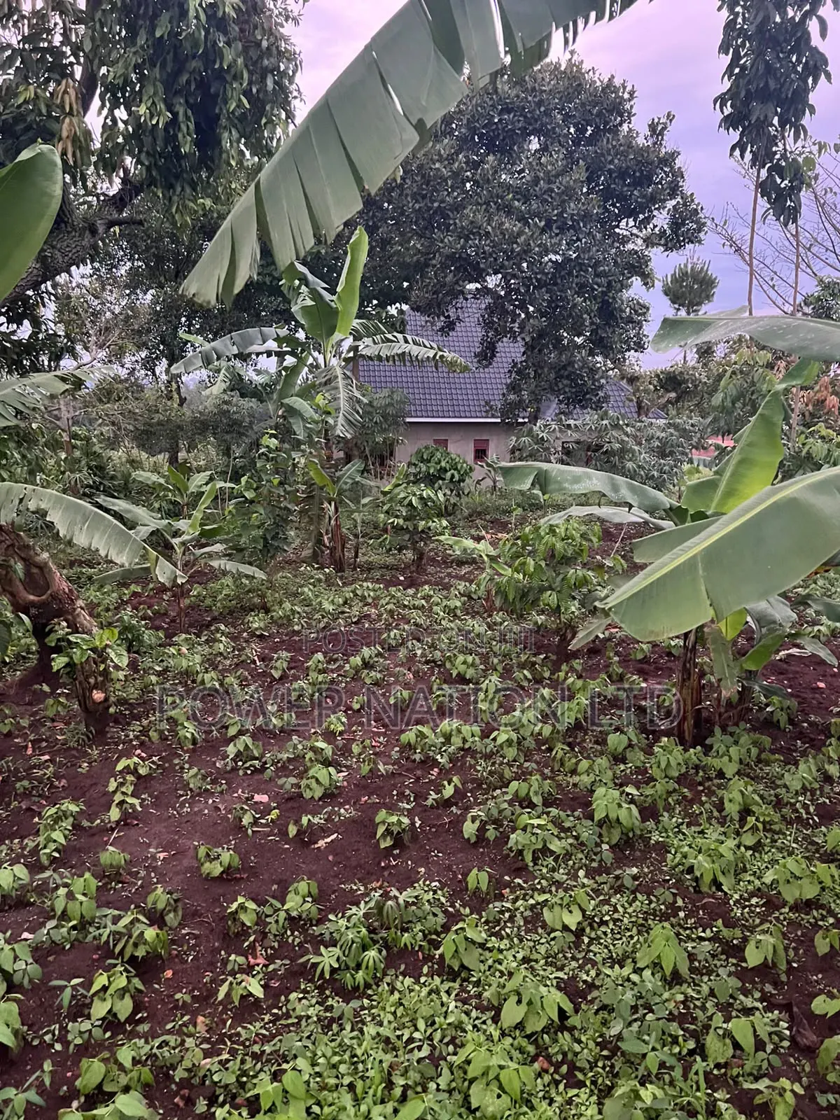 Plot of Land for Sale in Kalagala, Nakasaja – Kayunga Road!