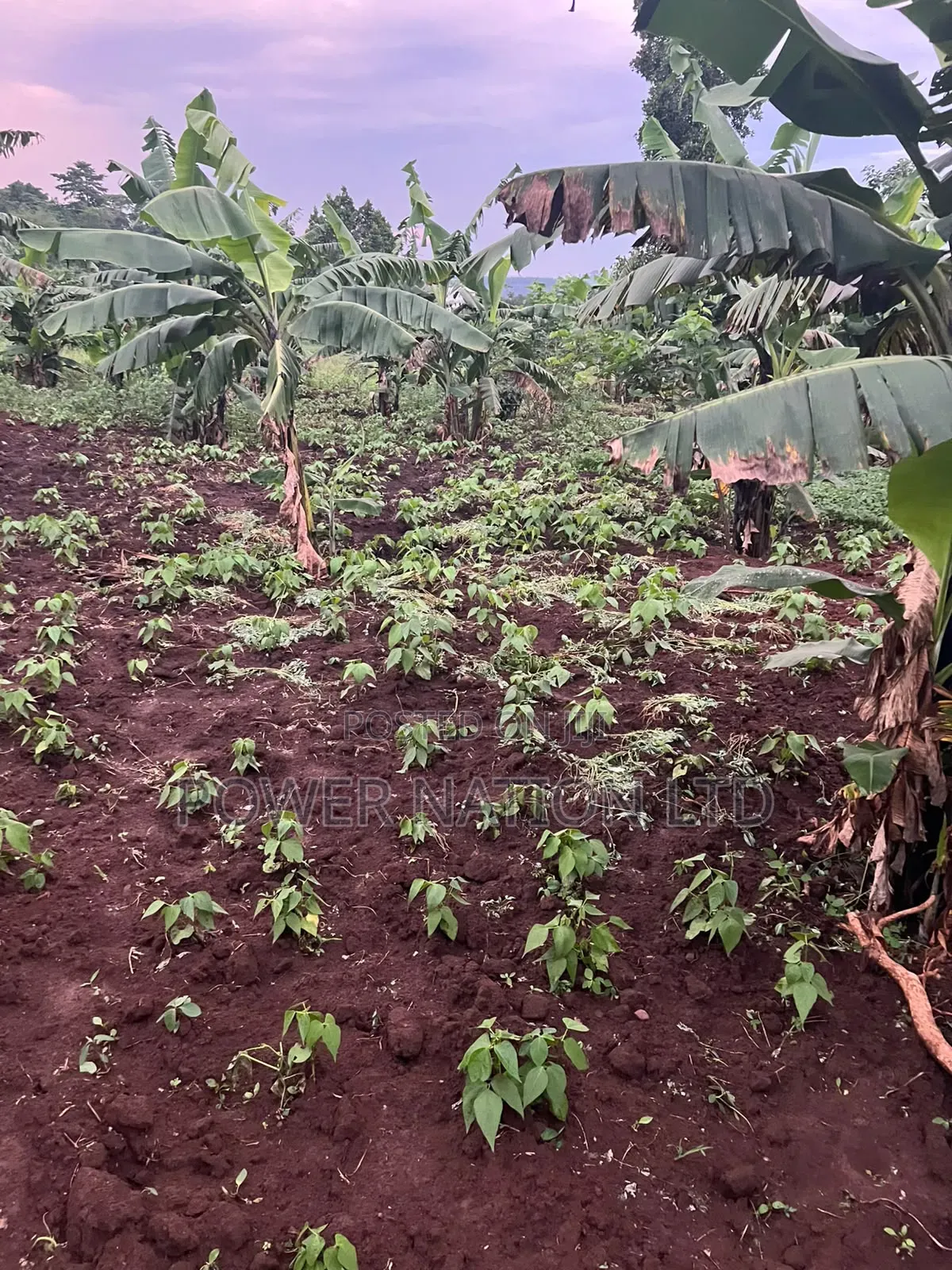 Plot of Land for Sale in Kalagala, Nakasaja – Kayunga Road!