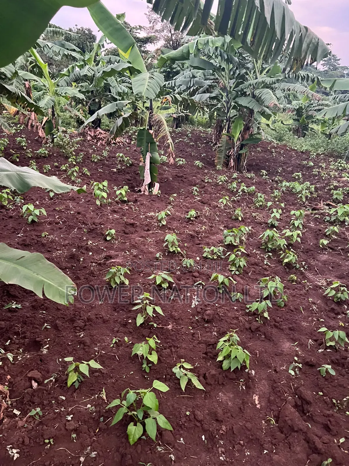 Plot of Land for Sale in Kalagala, Nakasaja – Kayunga Road!