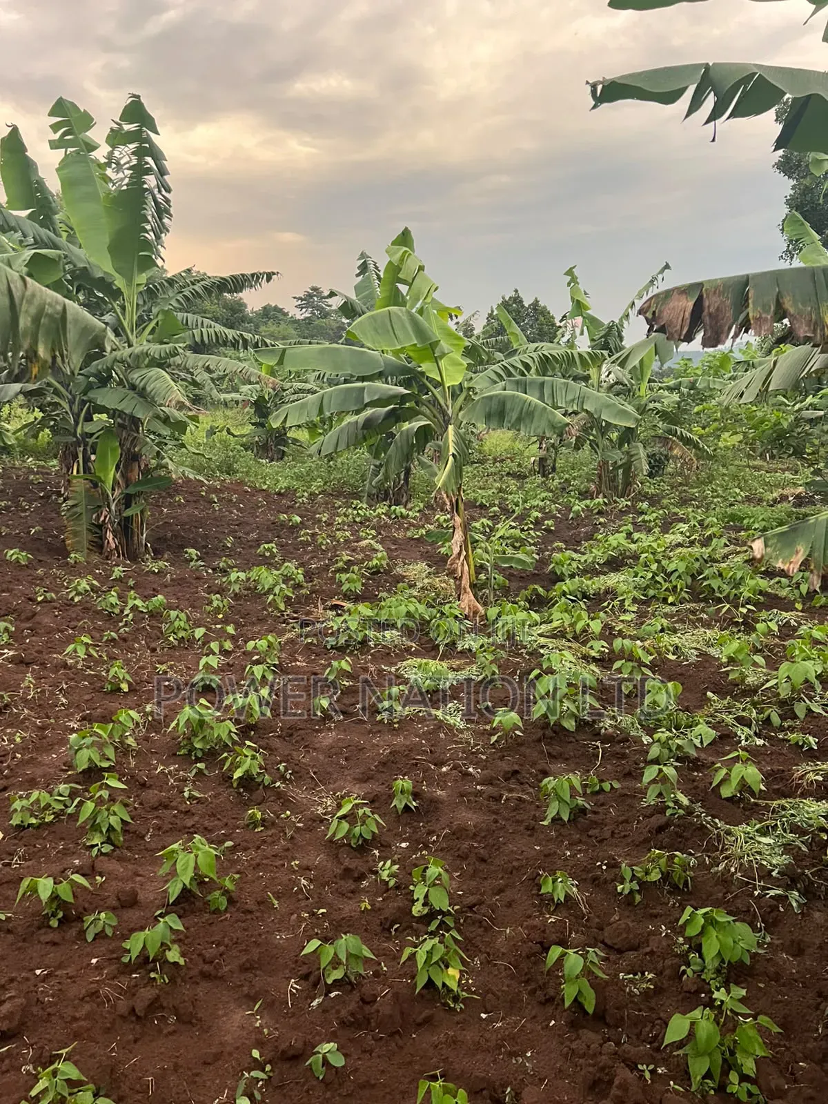 Plot of Land for Sale in Kalagala, Nakasaja – Kayunga Road!