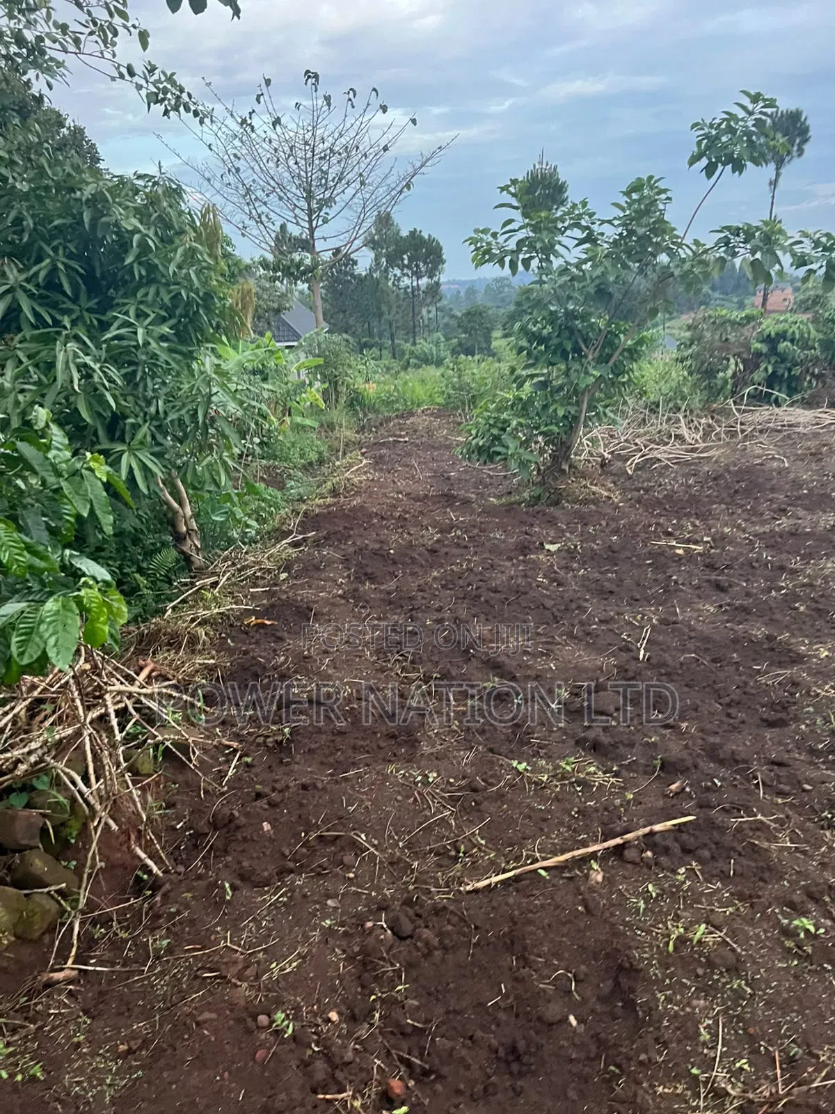 Plot of Land for Sale in Kalagala, Nakasaja – Kayunga Road!