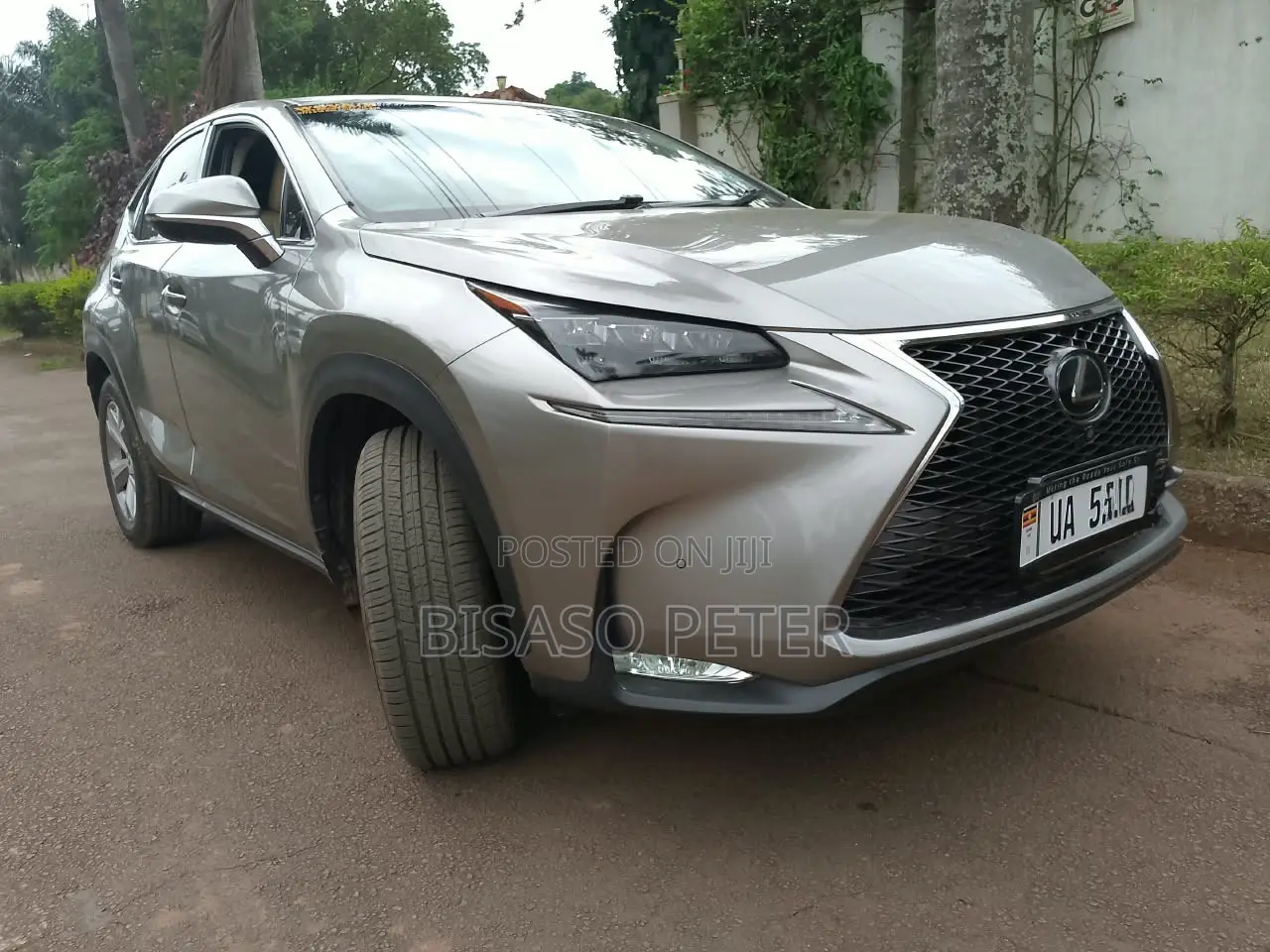 Lexus NX 2019 Gray