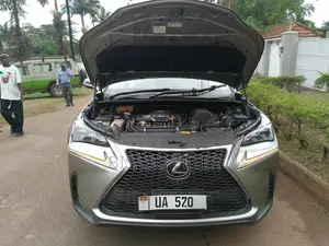 Lexus NX 2019 Gray