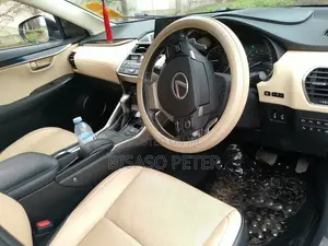 Lexus NX 2019 Gray