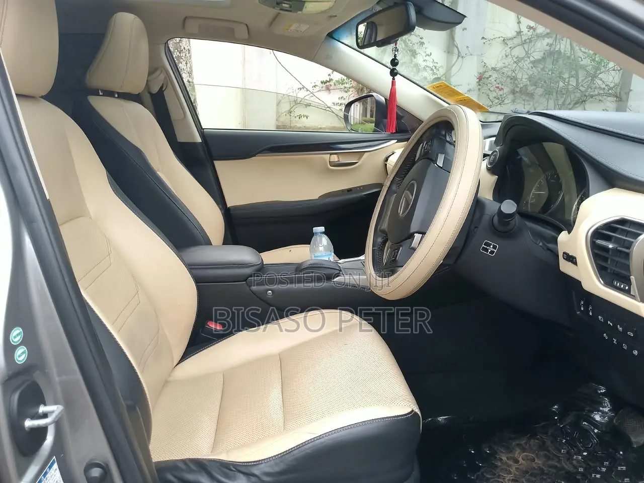 Lexus NX 2019 Gray