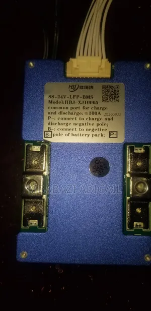 8s-24v Lithium Ion Phosphate BMS 100A