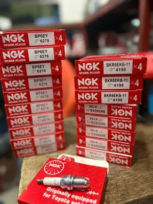 NGK Spark Plugs