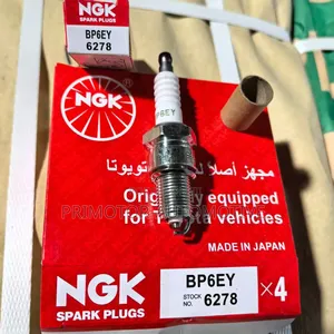 NGK Spark Plugs