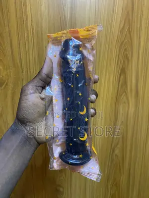 Black Silicone Dildo With a Suction Cup Base