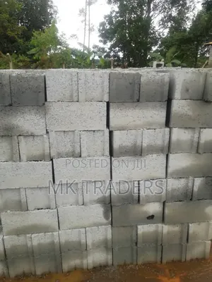 8 Inch Hollow Block