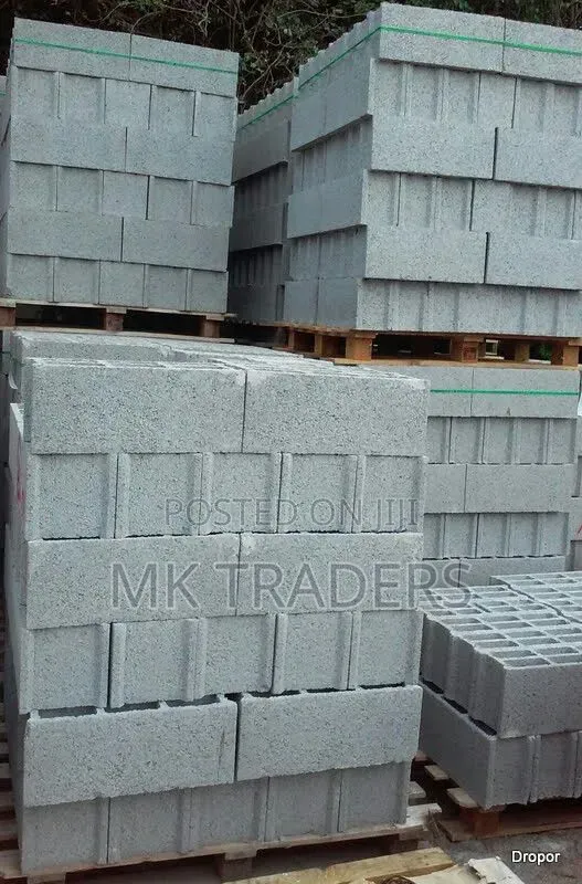 8 Inch Hollow Block