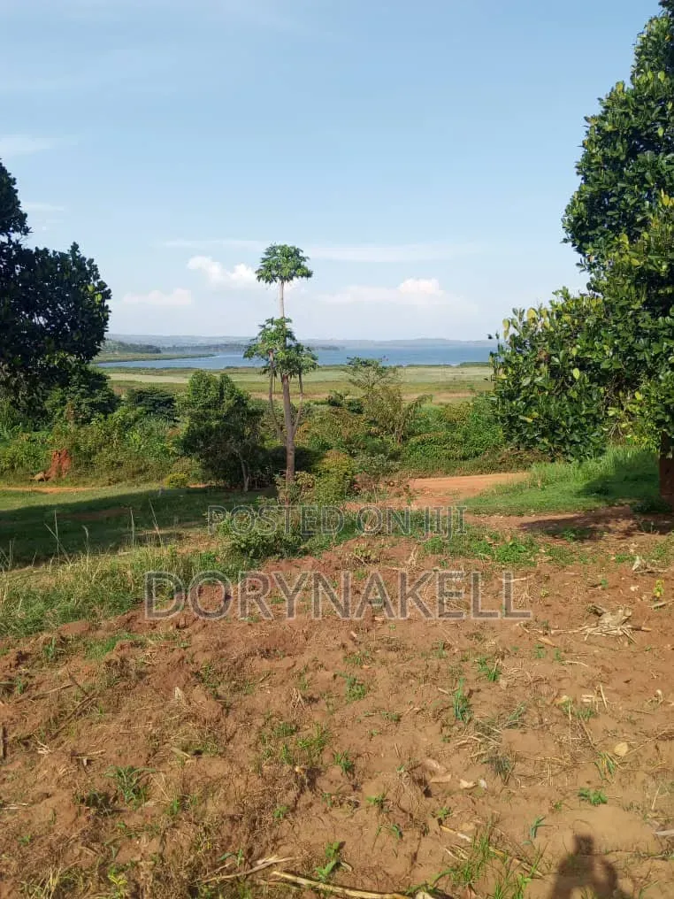 10 Acres With Clear Lakeview in Buikwe at 30m Each