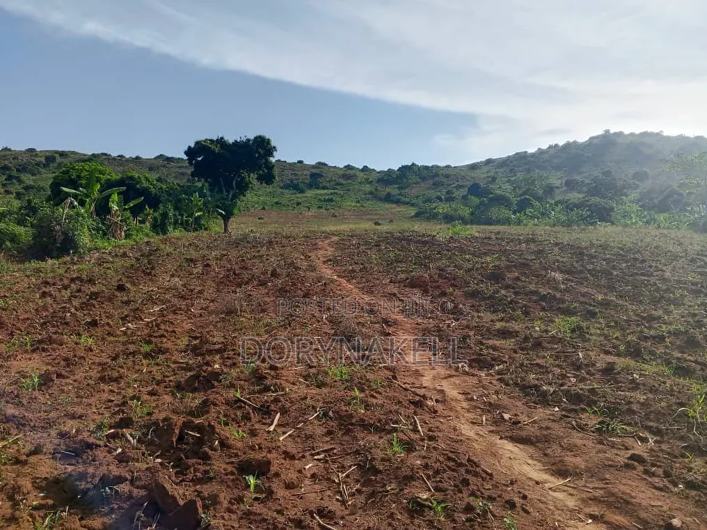 10 Acres With Clear Lakeview in Buikwe at 30m Each