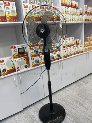 PTL Stand Fan