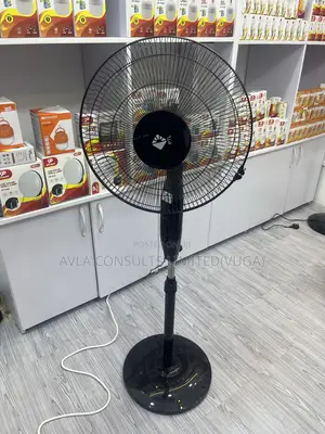 PTL Stand Fan