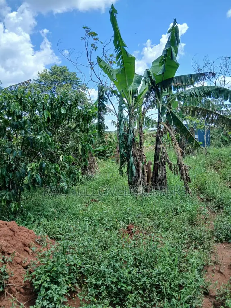 0.56 Acre of Titled Land With 4 Bedrooms Unfinished House