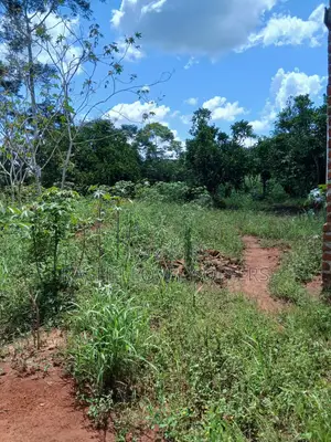 0.56 Acre of Titled Land With 4 Bedrooms Unfinished House