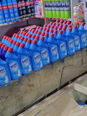Axess Toilet Cleaner