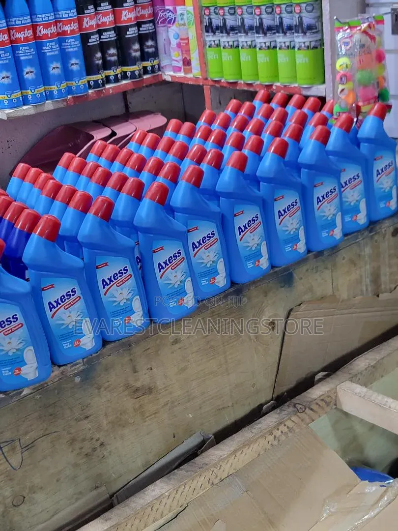 Axess Toilet Cleaner