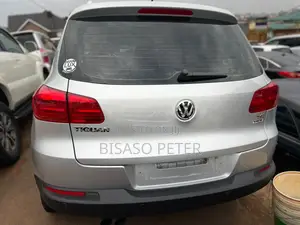 Volkswagen Tiguan 2014 Silver