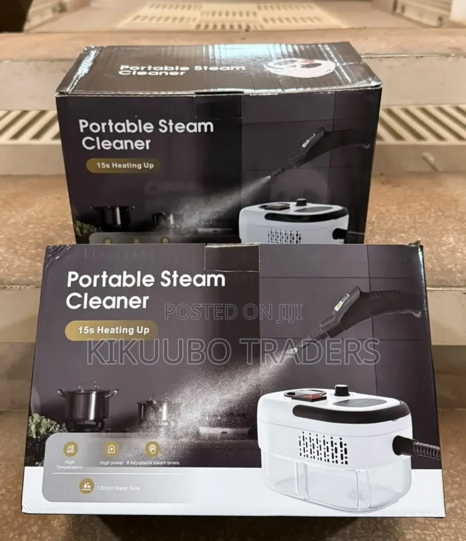 2500W High-Pressure Portable Steam Cleaner